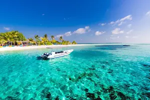 Motorboat Prints: Shoreline of a tropical island in the Maldives and view of the Indian Ocean