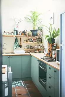 Home Décor Prints: Shot of an beautiful small apartment kitchen