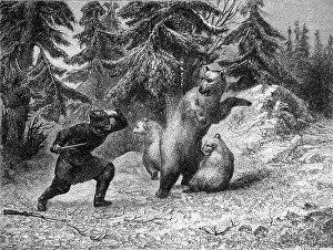 Siberia Prints: Siberian Hunter Attacking Brown Bears