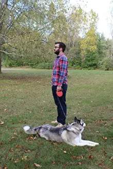 Playtime Prints: A Siberian Husky Malamute Dog on a leash with her owner outside on the grass