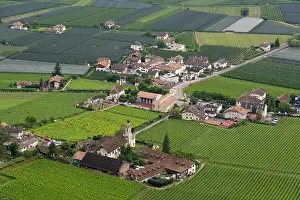 Wineries Prints: Siebeneich, Italy, Vineyards and orchards in the agrIcultural area near Bolzano