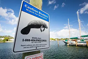 Miami Prints: A sign about Manatees in Miami Beach, Florida, USA