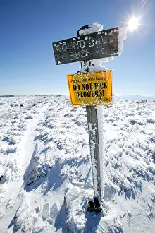 Tennessee Prints: Sign for Round Bald along the Appalachian Trail on the TN/NC border near Roan Mountain