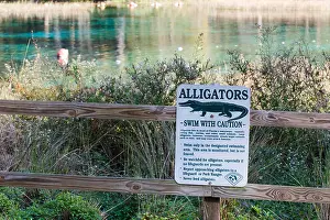 Alligator Prints: Sign warns swimmers of the presence of alligators at spring head of Rainbow River in Rainbow Springs State Park near