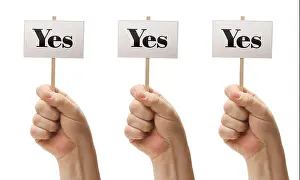 Approval Prints: Three Signs In Fists Saying Yes, Yes and Yes
