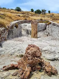 Dry Grass Prints: Sigri Natural Park with ancient petrified trees on the island of Lesbos, Greece