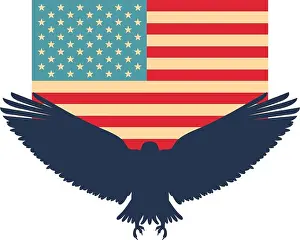 Bald Prints: silhouette american eagle flag national symbol vector illustration