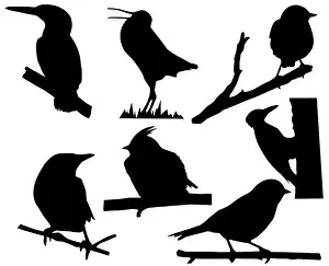 Goldfinch Prints: silhouette of the small birds on branch tree