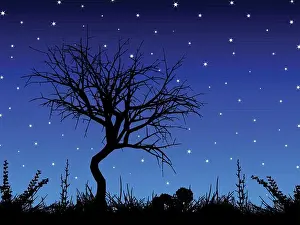 Starry Prints: Silhouette of a tree against a starry sky