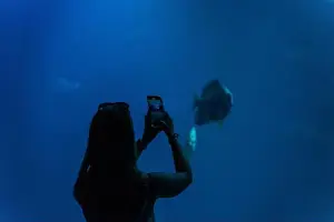 Big Blue Prints: Silhouette of a woman in an oceanarium photographing exotic fish