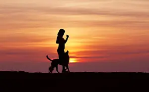 Wonderful Prints: Silhouettes at sunset, girl and dog running against the backdrop of an incredible sunset