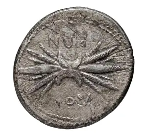 Ancient Italy Prints: A silver statere coin from Locri Epizephiri