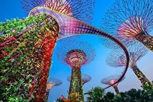 Images Dated 5th September 2015: Singapore at Gardens by the Bay
