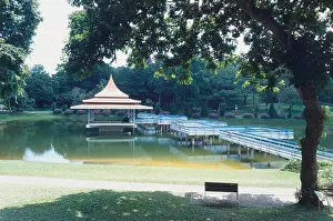 Tiered Prints: Singapore, MacRitchie Reservoir