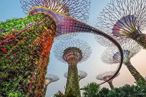 SINGAPORE - SEPTEMBER 5, 2015: Supertrees at Gardens by the Bay. The tree-like structures are fitted with environmental technologies that mimic the ec