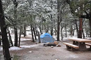 Grand Canyon Prints: A single blue tent among the trees at Mather Campground