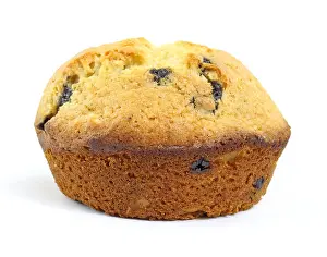 Blueberry Prints: Single blueberry muffin