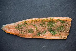 Trout Prints: A single, whole fillet of a rainbow trout