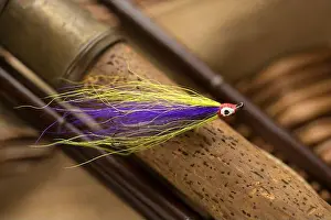 Angling Prints: A single salmon fly that was probably homemade on the cork handle of an old wooden salmon fly fishing rod