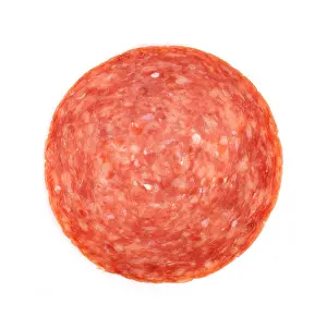 Deli Prints: Single slice of hard salami