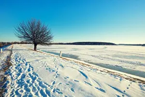 Frozen Lake Prints: Single tree on a dam on a frozen lake