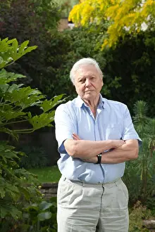 sir david attenborough english broadcaster naturalist Trending Item 3