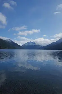 Olympic National Park Prints: Sites around the Lake Quinault area in Olympic National Park