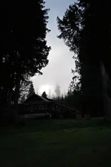 Olympic National Park Prints: Sites around the Lake Quinault area in Olympic National Park