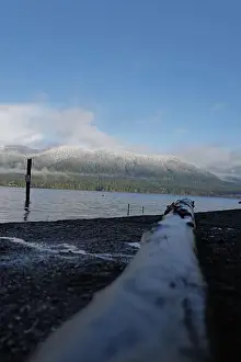 Olympic National Park Prints: Sites around the Lake Quinault area in Olympic National Park