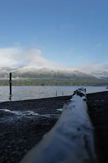 Olympic National Park Prints: Sites around the Lake Quinault area in Olympic National Park