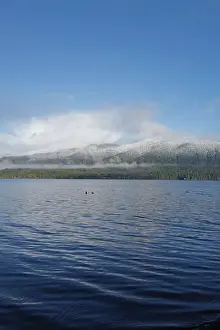Olympic National Park Prints: Sites around the Lake Quinault area in Olympic National Park
