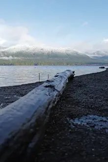 Olympic National Park Prints: Sites around the Lake Quinault area in Olympic National Park