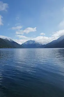 Olympic National Park Prints: Sites around the Lake Quinault area in Olympic National Park