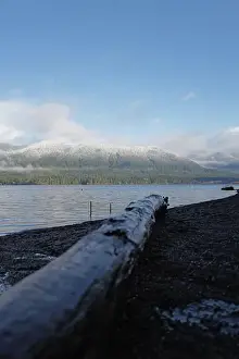Olympic National Park Prints: Sites around the Lake Quinault area in Olympic National Park