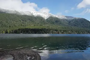 Olympic National Park Prints: Sites around the Lake Quinault area in Olympic National Park
