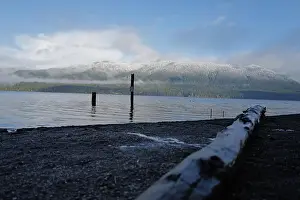 Olympic National Park Prints: Sites around the Lake Quinault area in Olympic National Park