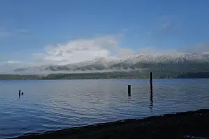 Olympic National Park Prints: Sites around the Lake Quinault area in Olympic National Park
