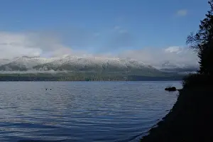 Olympic National Park Prints: Sites around the Lake Quinault area in Olympic National Park
