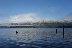 Olympic National Park Prints: Sites around the Lake Quinault area in Olympic National Park
