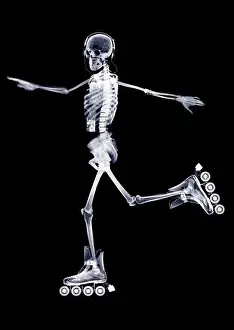 Toes Prints: Skeleton in-line skating, X-ray