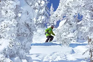 Snowboard Prints: Skiers freeride forest downhill skiing