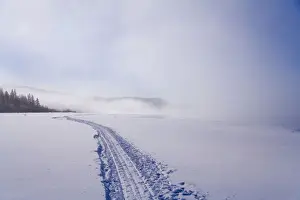 Trace Prints: Sled tracks lost in the fog, Yukon Territory, Canada