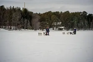 Sleigh Prints: Sledding Sled dog lapland winter in Inari Nellim frozen lake