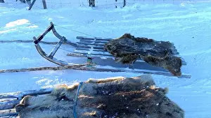 Blue Ice Prints: Sleds parked on the snow in the north of Sweden