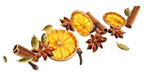 Punch Prints: Slices of dried orange, aromatic anise stars