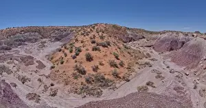 Sand Dune Prints: A sloping red sand dune above Hamilili Wash in Petrified Forest National Park