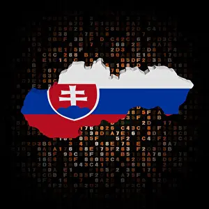 Slovakian Prints: Slovakia map flag on hex code illustration