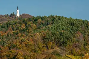 Campanile Prints: A small church atop a hill in the forest colored by the typical autumn colors of Zrece
