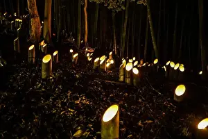Tourist Spot Prints: Small-diameter light-up of the bamboo grove (small desk Castle forest of citizen)