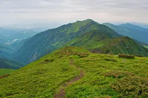 Verdant Prints: Small figures of travelers descending down a winding path leading to majestic mountain peak